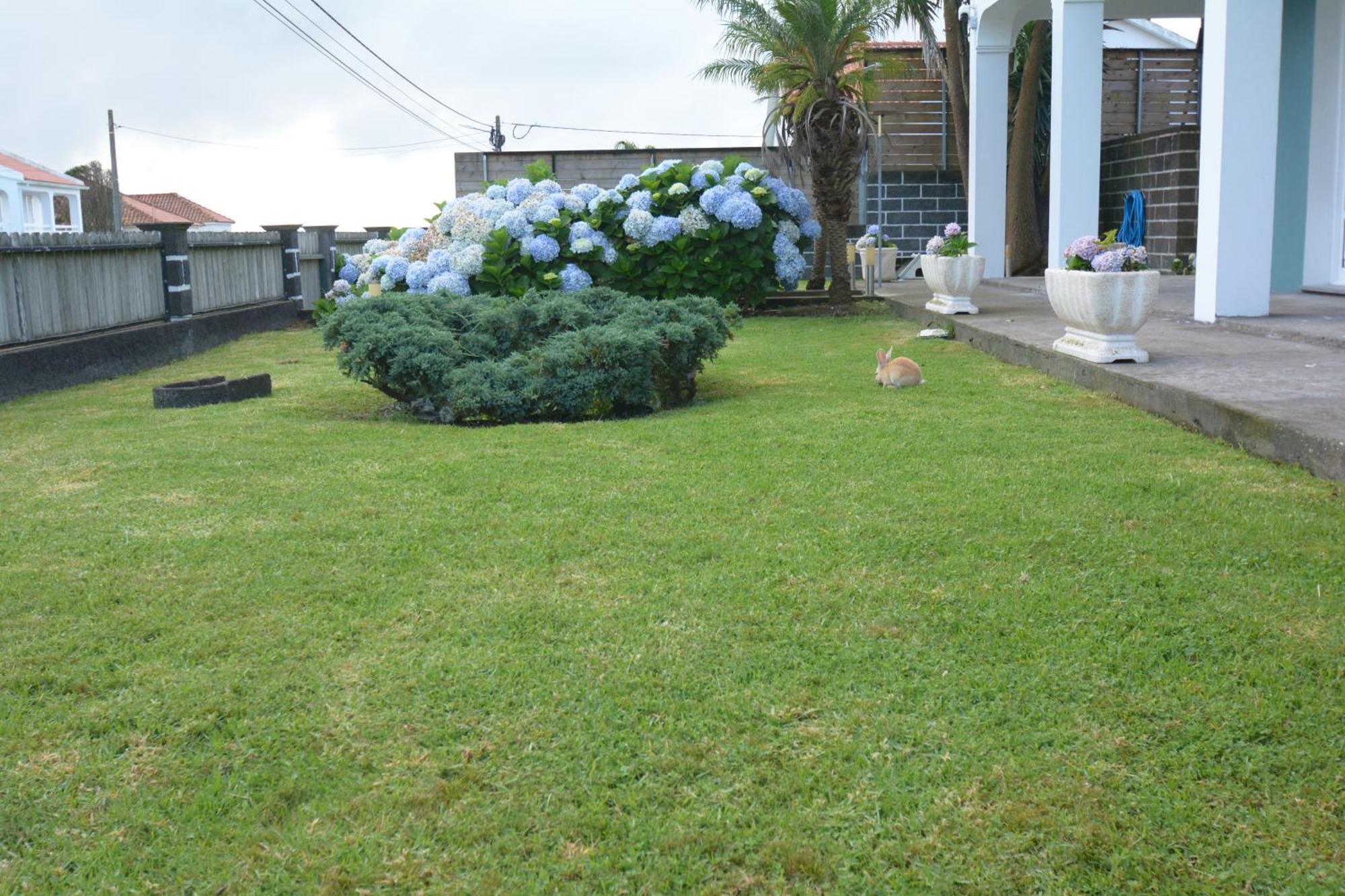 Casinha Das Hortensias Apartment Horta  Exterior photo